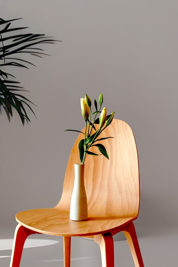 Dining Chair